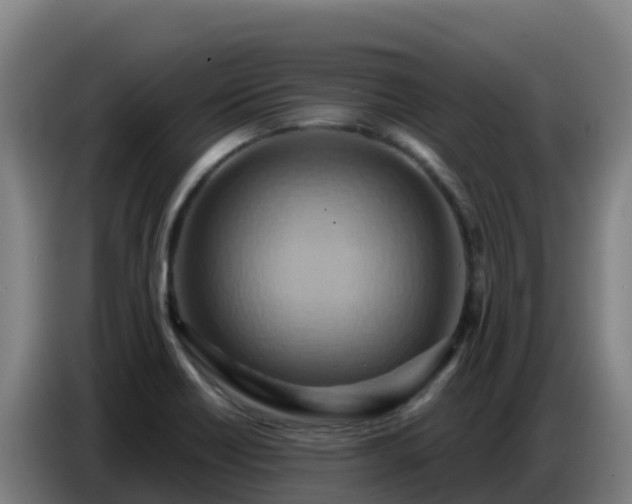 X0000086751418200704201716