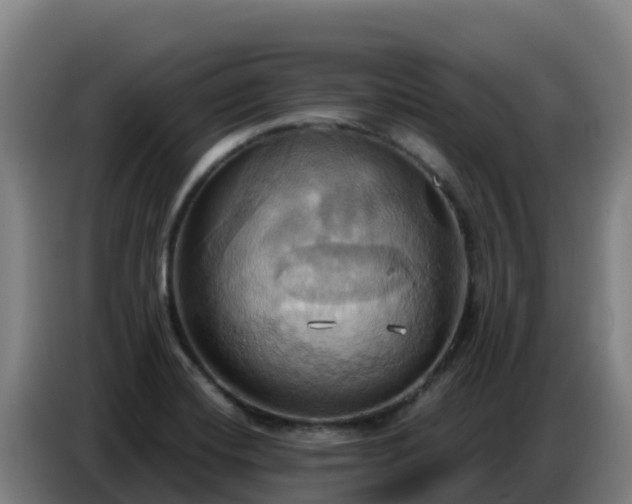 X0000086751420200704201716