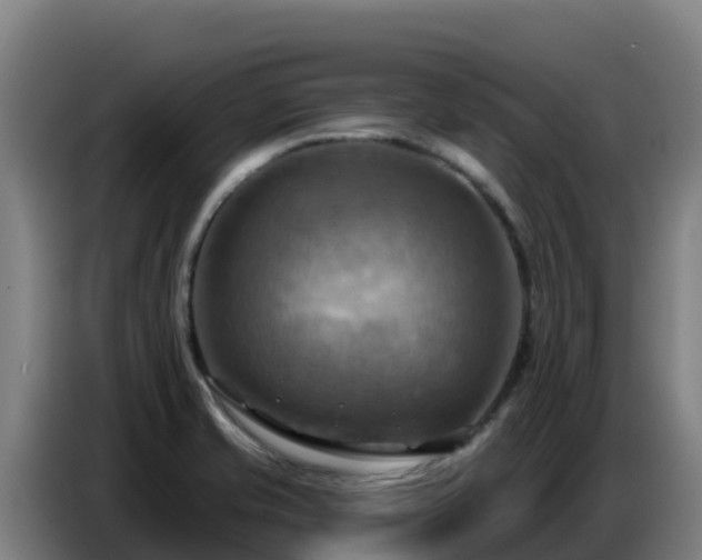 X0000086751421200704201716