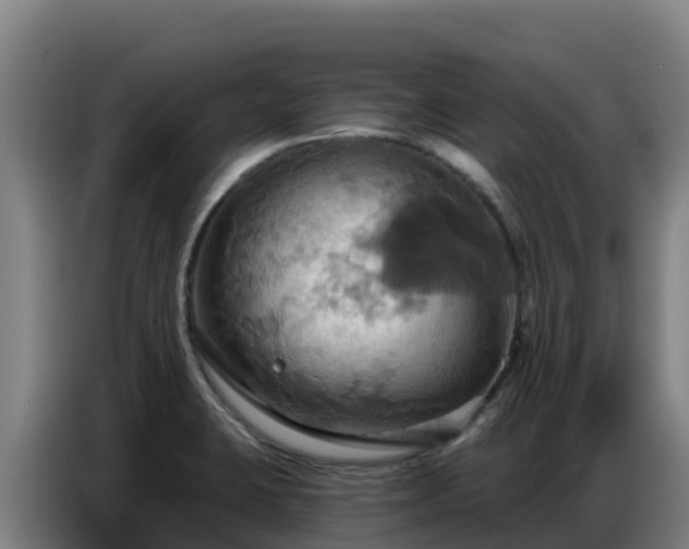 X0000086751423200704201716