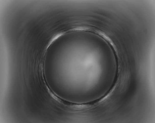 X0000086751425200704201716