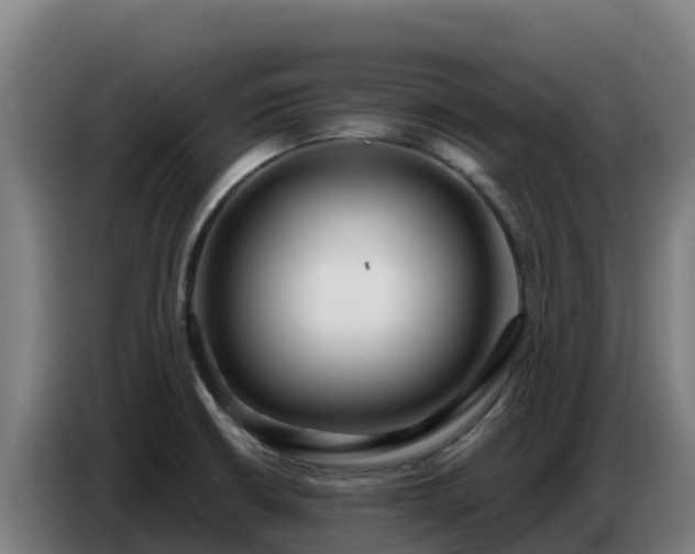 X0000086751426200704201716