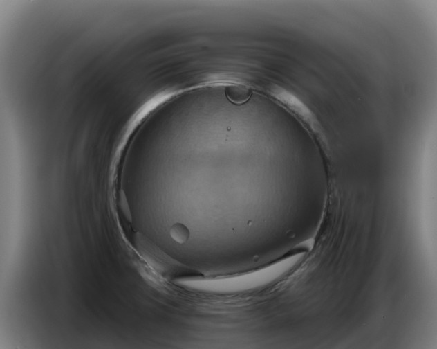 X0000086751427200704201716