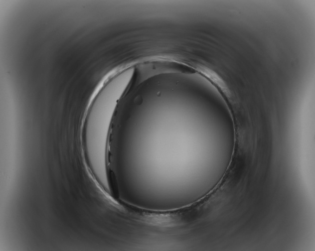 X0000086751428200704201716