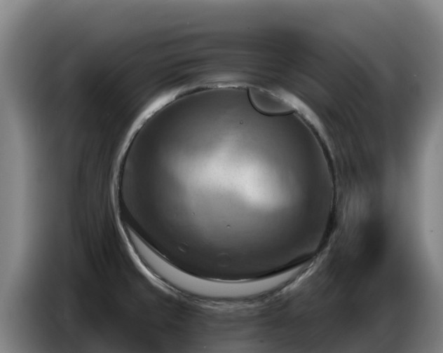 X0000086751429200704201716