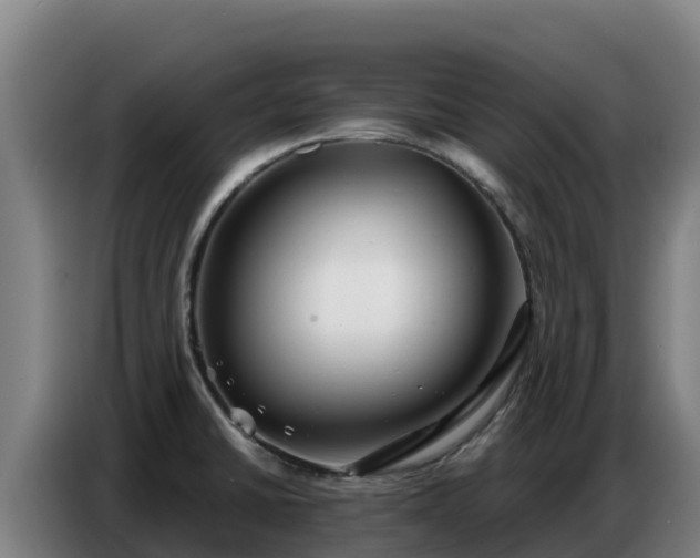 X0000086751430200704201716