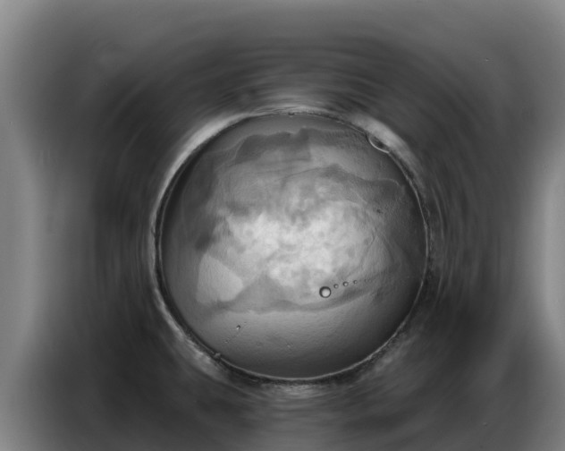 X0000086751431200704201716
