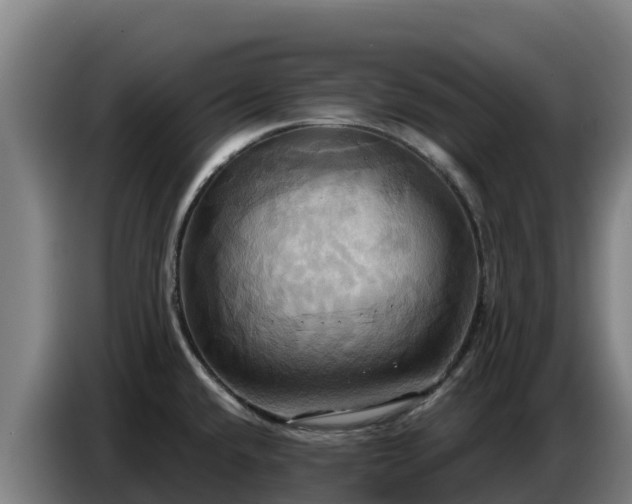 X0000086751432200704201716