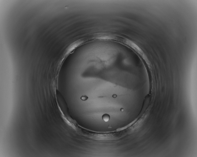 X0000086751433200704201716