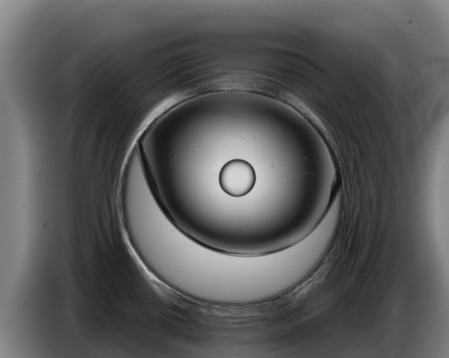 X0000086751434200704201716