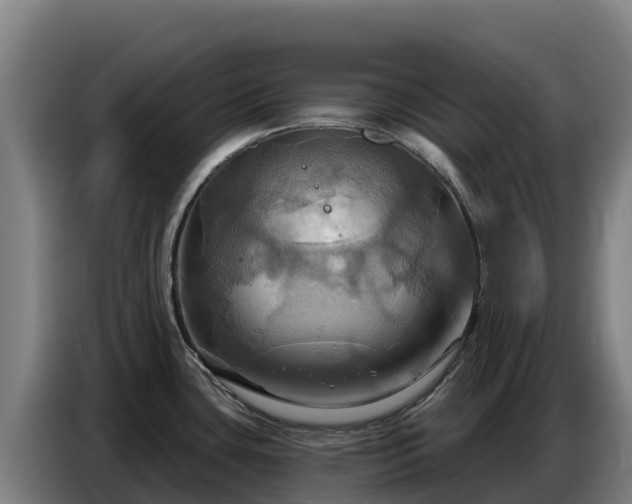X0000086751435200704201716