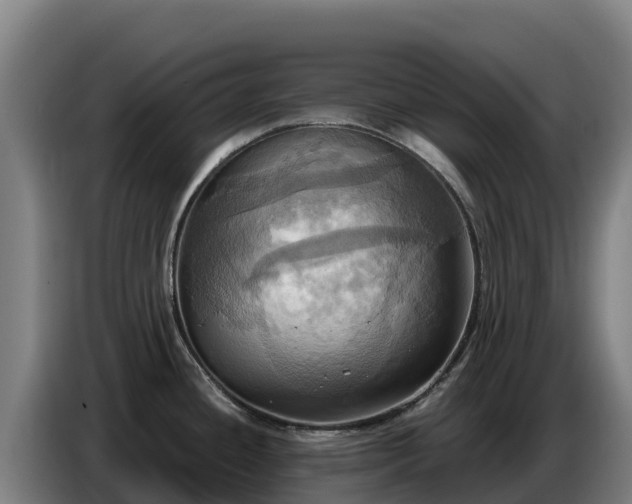 X0000086751436200704201716