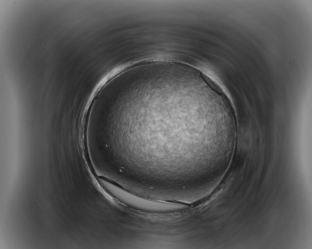 X0000086751437200704201716