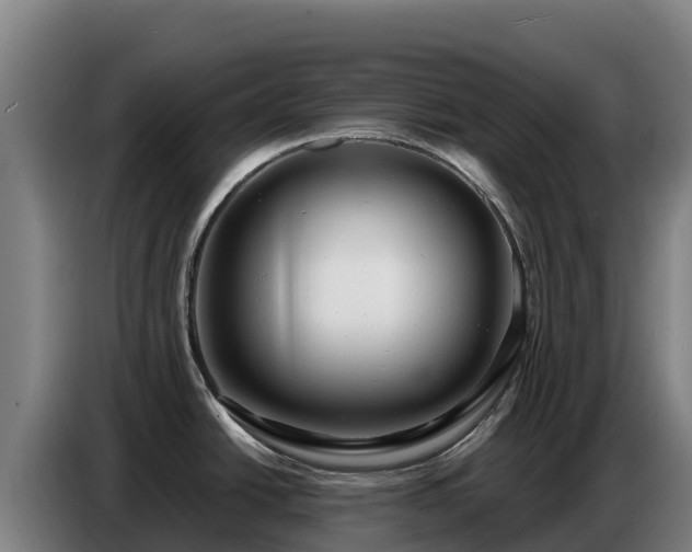 X0000086751438200704201716