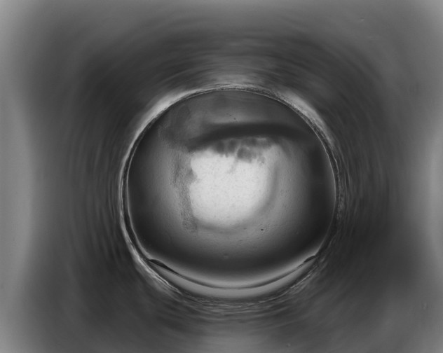 X0000086751439200704201717