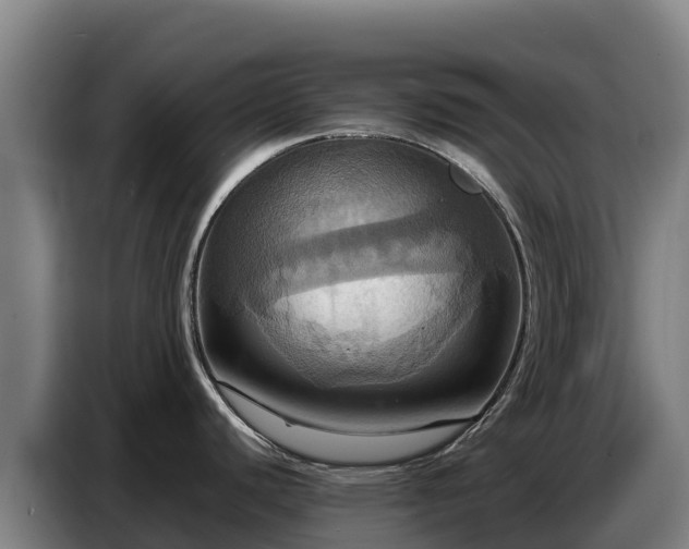 X0000086751440200704201717