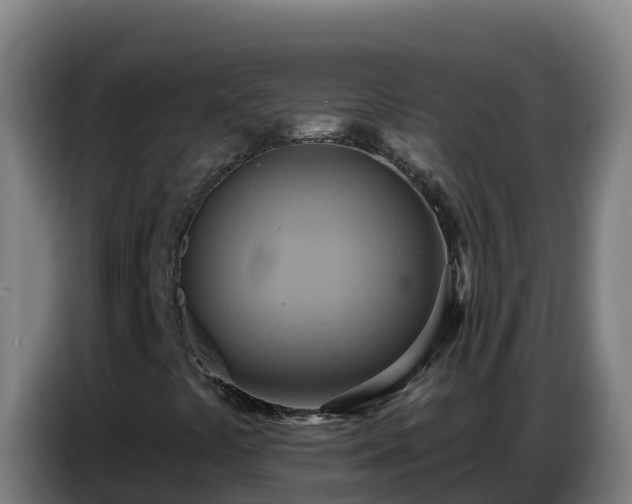 X0000086751441200704201716