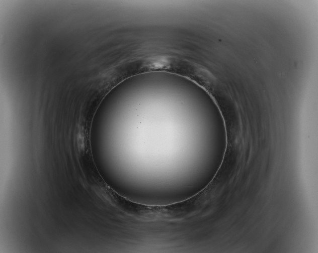 X0000086751442200704201716