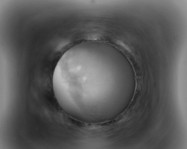 X0000086751446200704201716