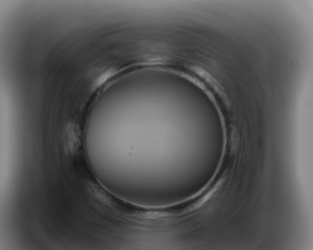 X0000086751449200704201716