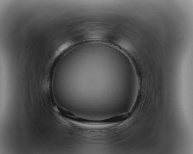 X0000086751450200704201716