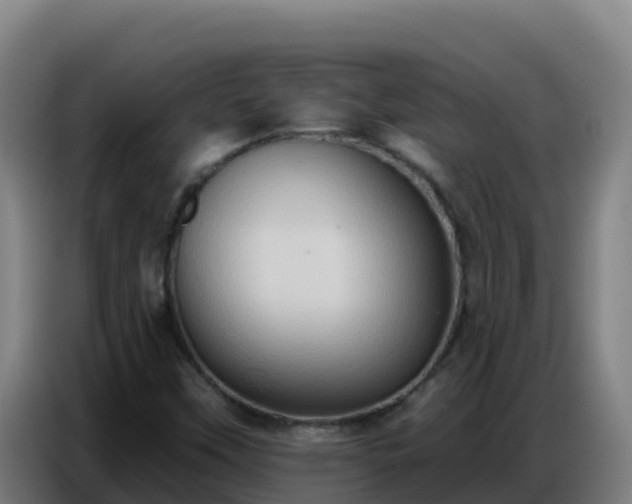 X0000086751451200704201716