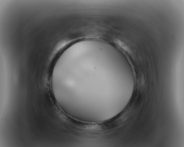 X0000086751454200704201716
