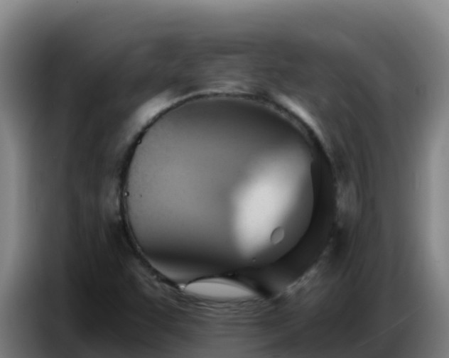 X0000086751455200704201716