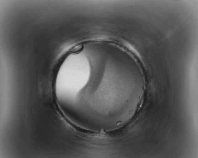 X0000086751456200704201716