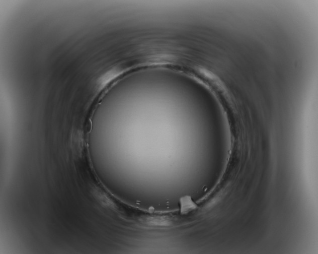 X0000086751457200704201716