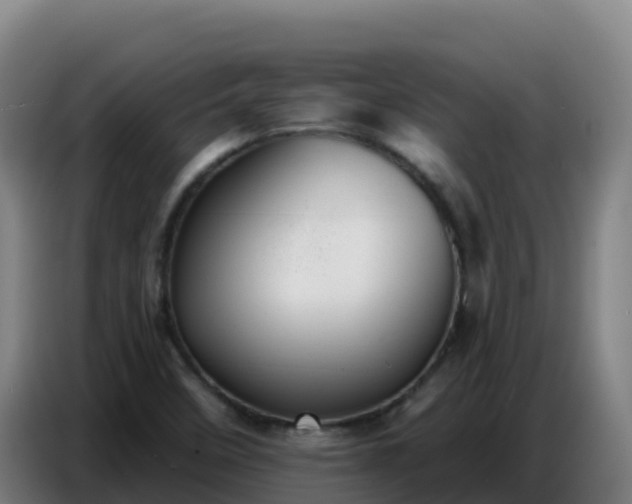 X0000086751458200704201716