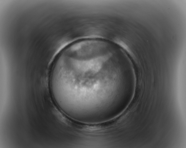 X0000086751460200704201716
