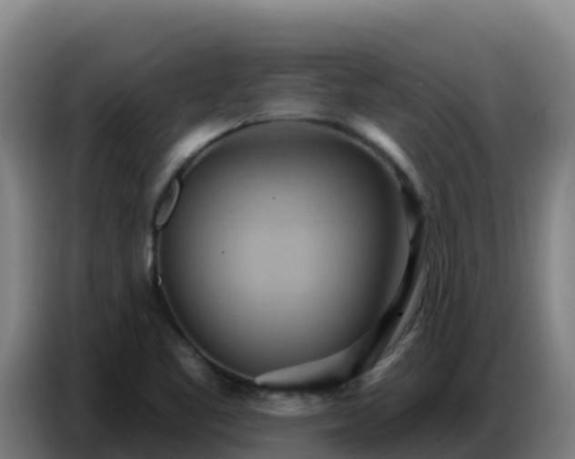 X0000086751461200704201716