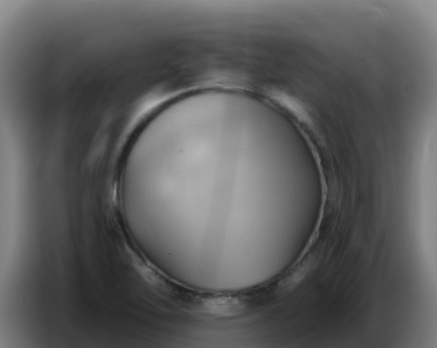 X0000086751462200704201716