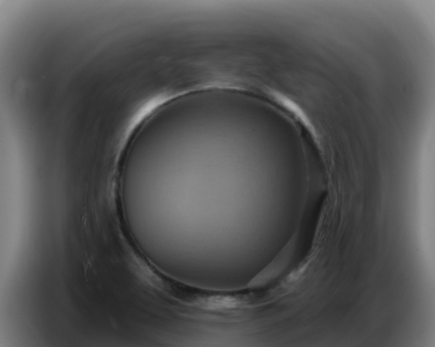 X0000086751463200704201716
