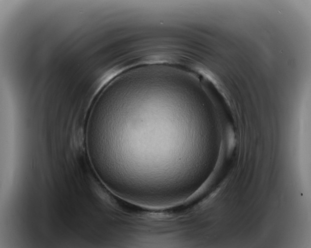 X0000086751465200704201716