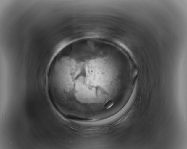 X0000086751467200704201716