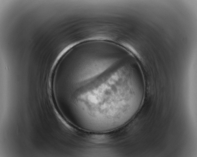 X0000086751468200704201716