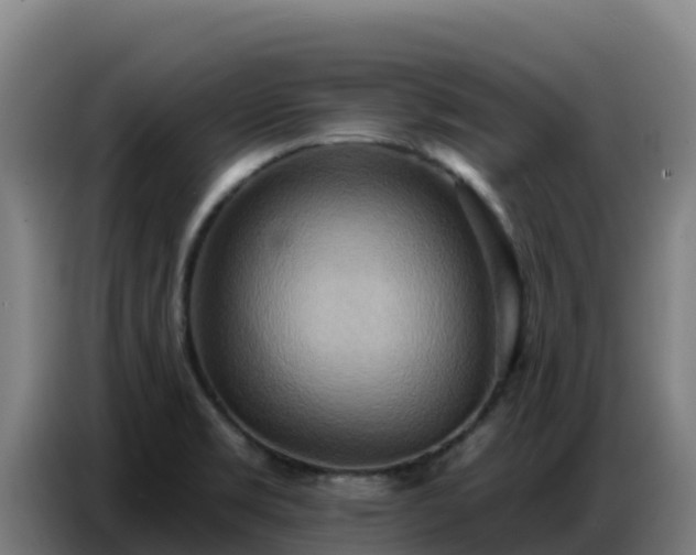 X0000086751469200704201716