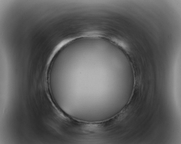 X0000086751470200704201716