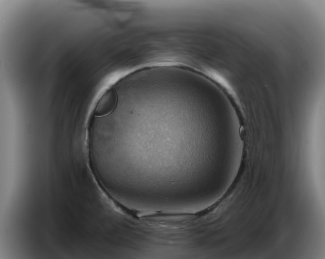 X0000086751472200704201716