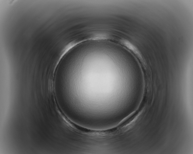 X0000086751473200704201716