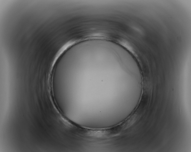 X0000086751474200704201715