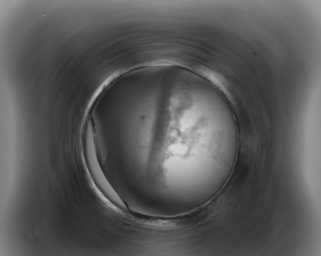 X0000086751476200704201715