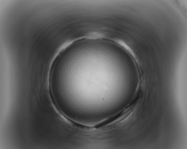 X0000086751477200704201715