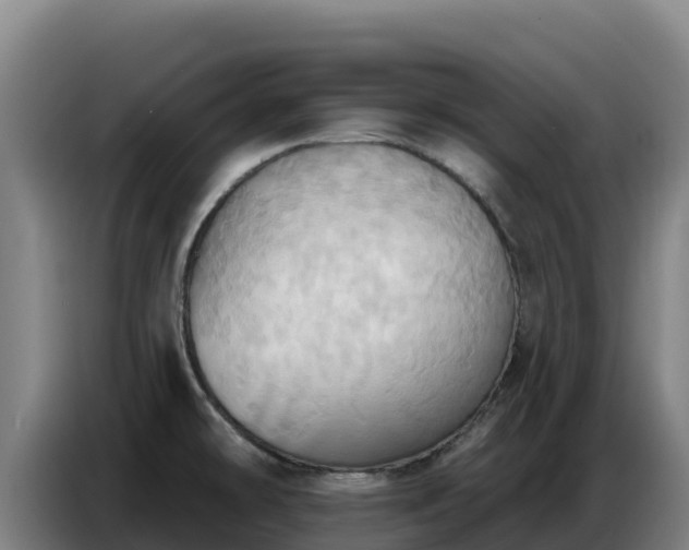 X0000086751478200704201715