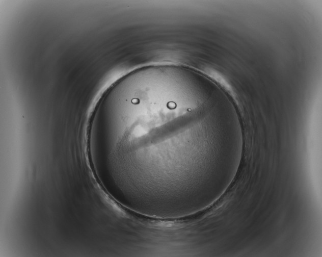 X0000086751480200704201715