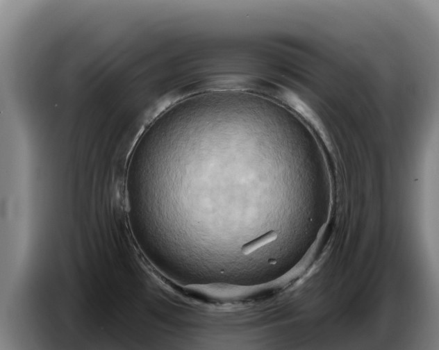 X0000086751481200704201715