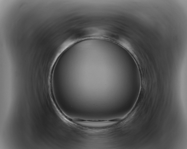 X0000086751482200704201715