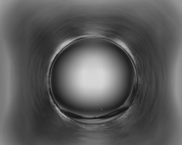 X0000086751485200704201715